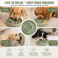 Bol d'alimentation lente personnalisé en silicone pour chien, tapis de léchage 3-en-1 pour animaux de compagnie, bol d'enrichissement pour aliments secs et humides, fournisseur OEM sous marque privée