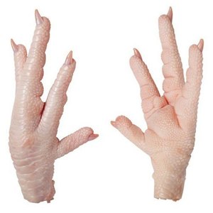 Pies de pollo congelados de alta calidad a la venta/Pies de pollo congelados de alta calidad patas de pollo a la venta - Product Image 1