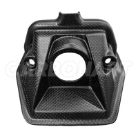 Cubierta de Fibra de Carbono Real de Repuesto para Ducati Diavel V4, Marca Carbonart