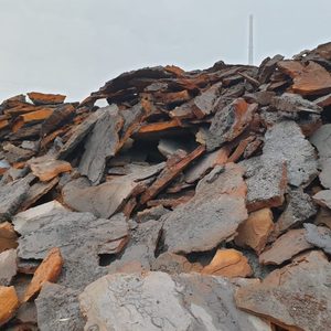 Prix de la ferraille Crânes de fonte - Product Image 5