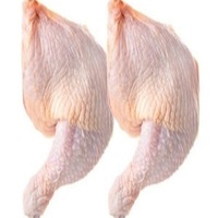 Compre Cuellos de Pollo Halal Congelados, Limpios, Frescos, Sin Mal Olor, Sin Sangre, Calidad Premium, Cocidos, Esterilizados, Fritos, Asados, Envasados al Vacío