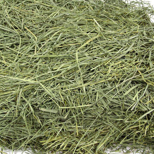 Foin de luzerne à prix très bas Qualité Rhodes Herbe Foin Luzerne Vente en gros Prix bas Par AL SADIQ ENTERPRISES - Product Image 2