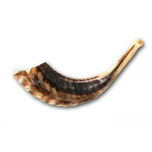 Diseño de pescado pintado Material orgánico Shofar Cuerno Pulido Imitación antigua Europa para unción y decoración del hogar para la venta - Product Image 1