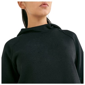 Alta calidad 3D Puff Print 300 500 Gsm Heavyweight Cotton Sudadera con capucha de gran tamaño Logotipo personalizado Transferencia de calor Puff Printing Women Hoodies - Product Image 6