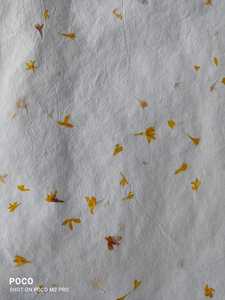 Handmade Rose Flower Petal Papers Made From Real Rose Flower Petals in Sheet Size of 56*76 cm - Product Image 3