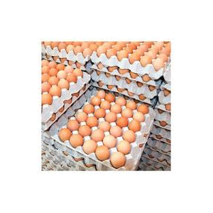 ไข่ไก่สดจำนวนมาก-ซัพพลายเออร์ที่ผ่านการตรวจสอบ, ฟาร์มสด, เกรด - Product Image 6