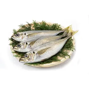 Wholesale Supplier Import Fillet Horse Mackerel Fish Sea Food Frozen bulk sales