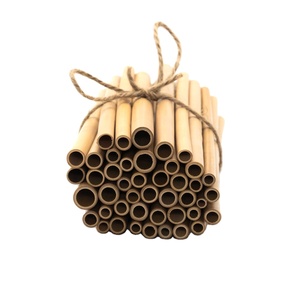 Elegantes pajitas de bambú desechables ECO2GO ecológicas y de origen vietnamita para fiestas - Product Image 1