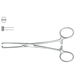 Fórceps de tejido intestinal Allis de acero inoxidable de alta calidad 5x6 dientes 19cm/7,5 "fabricante de instrumentos quirúrgicos - Product Image 3