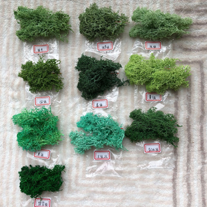 Mousse organique préservée en direct de haute qualité pour décoration intérieure, <span class=keywords><strong>art</strong></span> mural unique pour Noël, Pâques, Halloween dans les restaurants <span class=keywords><strong>et</strong></span> les maisons - Product Image 4