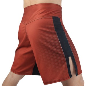 Vente en gros séchage rapide 100% polyester conception personnalisée impression par sublimation Mma Shorts hommes shorts de combat - Product Image 3