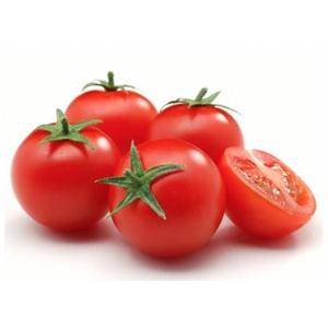 Vente en gros de légumes naturels tomates cuites naturelles fraîches top vente chaude cerise fraîche 100% tomate de qualité mûrie biologique, Fr - Product Image 1