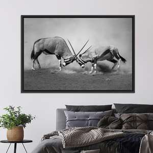 Impression sur toile monochrome de la faune africaine : œuvre d'art représentant des oryx en combat, toile encadrée noire - Product Image 1