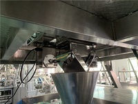 Machine d'emballage peseuse automatique à 10 têtes machine d'emballage de sacs en plastique de tranches de fruits frais surgelés de salade de légumes machine d'emballage