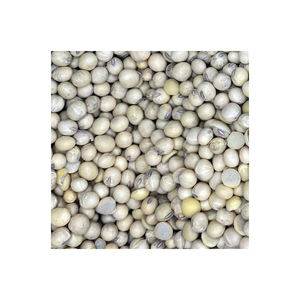 Soja Orgánica Premium Seca, 25 kg, Empacada a Granel desde Bélgica para Compradores Mayoristas - Product Image 4