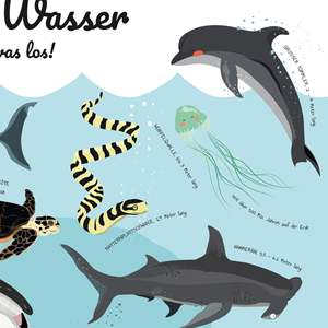 Modern Sea Creatures <b>Poster</b> Stylish Wall Art Featuring Underwater Action Made of Durable Paper - Product Image 6