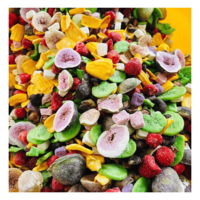 Gemengd gevriesdroogd fruit, gevriesdroogde fruitmix voor bakkerijdecoratie, ontbijtgranen en voedselvoorziening, Vietnam