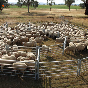 重型可移动定制钢制家畜牛马围栏、马场围栏、庭院围栏板和大门、镀锌围栏 - Product Image 2