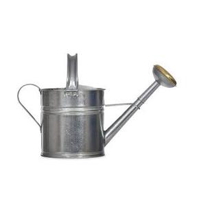 Regadera de diseño New Look Regadera de zinc, pequeña, resistente, pequeña regadera de zinc galvanizada antigua - Product Image 3