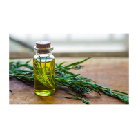 Herbojit International Aceite Esencial de Romero de Excelente Calidad de Marca Privada para el Crecimiento del Cabello, Cuidado de la Piel, Aceite de Aromaterapia Orgánico