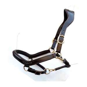 Cabestro inglés de cuero para equipo de caballo de calidad superior con cabestro de caballo acolchado de cuero suave a un precio atractivo - Product Image 1