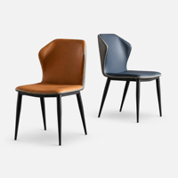 Chaises de salle à manger contemporaines en acier pour salons de thé, cafés, sièges domestiques, tabourets de coiffeuse avec dossier pour des réunions prolongées