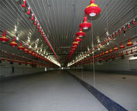 Estructura de gallinero prefabricado Granja avícola Prefabricado Motor de acero proporcionado Gallinero móvil automático