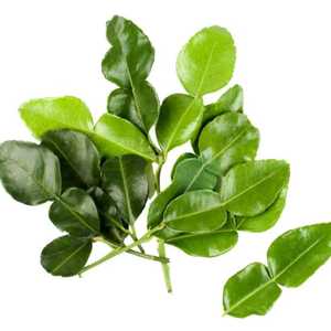 KAFFIR NATURAL DE VIETNAM CONGELADO HOJAS DE LIMA 100% HIERBAS AROMÁTICAS PREMIUM RECIÉN COSECHADAS PARA EL MERCADO DE EXPORTACIÓN DE COCINA DE ALIMENTOS - Product Image 6