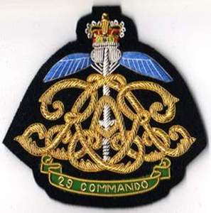 Alambre de lingotes bordado hecho a mano de alta calidad, nuevo estilo, servicio OEM para insignias de regimiento del Reino Unido, insignia de Blazer de dragones reales 1ST - Product Image 4