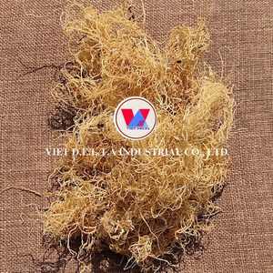 MOUSSE NOIRE SÉCHÉE VÉGAN FRIENDLY POUR UNE ALIMENTATION PROPRE ET UN RÉGIME ÉQUILIBRÉ IMMUNITAIRE - Product Image 5