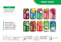 Mango Met Pulp 500 Ml 16.9 Floz Honderd Procent Sap 24 Flessen Kartonnen Fles Zonder Toegevoegde Suiker Oem Private Label