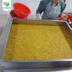 VIET THIEN PHU VTP/Fruta congelada Sabor Natural y Color Maracuyá Embalaje a granel de Vietnam para exportación - Product Image 4