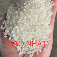 Riz Jasmin ST25 à Grains Longs de Haute Qualité du Vietnam – Vente en Gros de Riz Brun Noir Parboiled Parfumé pour la Cuisson