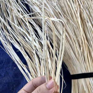 Bao Tram Anh Vietnam Offers High Quality Rattan in Large Quantities for Commercial Mall Applications - Product Image 1
