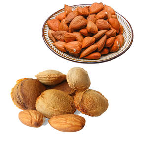 Noyaux d'abricot | Crus et séchés pour presser les huiles essentielles - Product Image 2