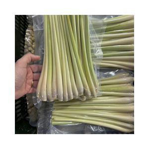 Lemongrass de alta calidad congelado de Vietnam pedido a granel disponible - Product Image 1