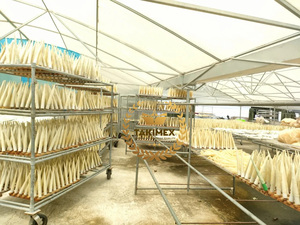 Vejiga de natación sabrosa para pescado a precio competitivo de Vietnam-Vejiga de natación para pescado para sopa Embalaje OEM de muy buena calidad - Product Image 6