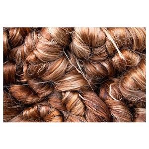 2023 Exportation directe en gros de haute qualité 100% fibre de jute Tossa brute à bas prix directement du Bangladesh - Product Image 1