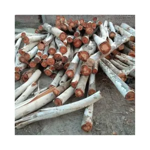 Grossista di alta qualità di vendita caldo 100% naturale solido legno di eucalipto duro Log con prezzo ragionevole origine Vietnam