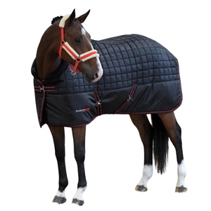 Juego de alfombra y cuello de establo para <span class=keywords><strong>caballos</strong></span>, combinación de alfombra estable, Mini alfombra estable, manta Ecuestre para el cuidado del caballo, transpirable, cómoda para caballo - Product Image 4
