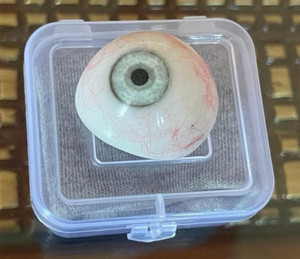 Oeil prothétique humain vintage de fabrication SS ~ Oeil artificiel antique - Product Image 1