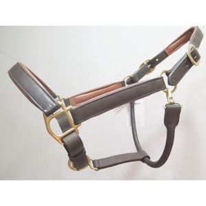 Acolchado colorido de caballo de cuero de alta calidad y accesorios de latón macizo disponibles a precio barato - Product Image 1