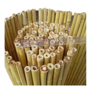 Bastón de bambú para protectores de árboles del proveedor de Vietnam bastones de bambú rectos y secos naturales para construcción con tamaños grandes - Product Image 1
