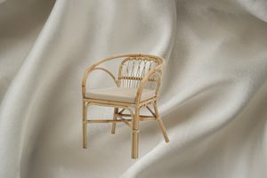 Sillón de Ratán Acolchado Moderno Dolvio - Silla de Diseño Elegante y Cómodo para Sala de Estar, Hogar, Bar, Comedor, Tejida a Mano - Product Image 3