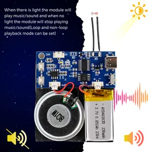 Módulo de sonido de tarjeta de felicitación descargable USB con interruptor de sensor de luz Chip de sonido para tarjetas de felicitación de regalo Altavoces