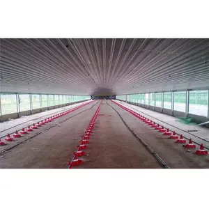 Types of poultry farm house construction
