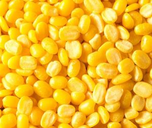 Lentilles jaunes fendues séchées 100 % naturelles de haute qualité, légumineuses égyptiennes de première qualité en vrac, provenant de Fayoum, Égypte, à vendre - Product Image 4