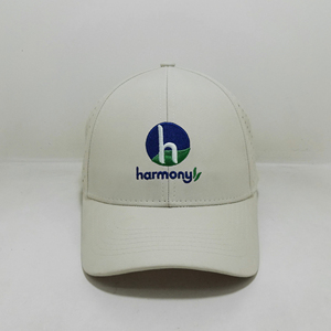 Gorras de béisbol de alta calidad Logotipo bordado personalizado Agujeros de corte láser 2D Estilo deportivo Sombreros de béisbol Golf ajustable - Product Image 1