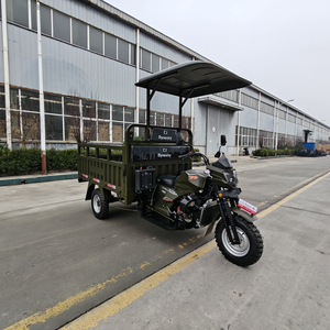 ¡OFERTA ESPECIAL! Triciclo de Carga a Gasolina OEM Popular de 200cc, Refrigerado por Agua, con Capacidad de Carga de 1500kg, Motocicleta de 3 Ruedas - Product Image 3