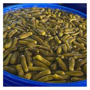 Muối Dưa Chuột Từ Việt Nam Bé Kích Thước Toàn Bộ Dưa Chuột Trong Nước Muối Hoặc Ánh Sáng Xi-rô Cho Xuất Khẩu Người Mua Toàn Cầu - Product Image 1